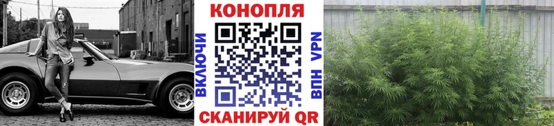 где продают наркотики  Усинск  Конопля индика 